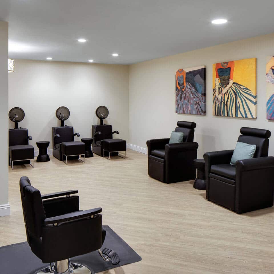 hair salon chairs with dryers