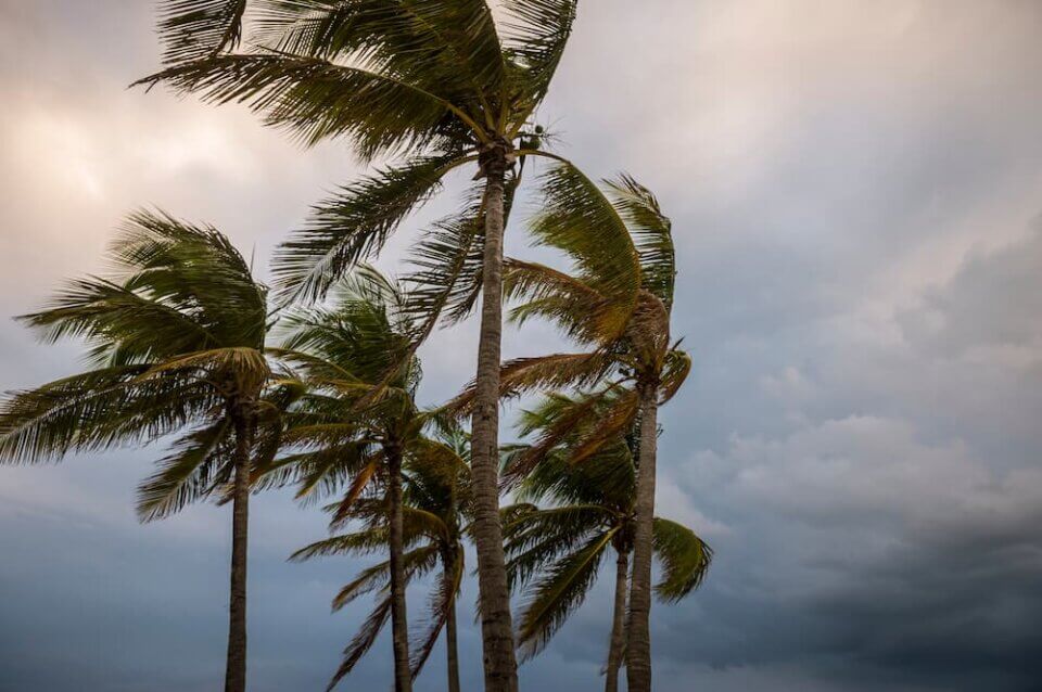 Florida hurricanes